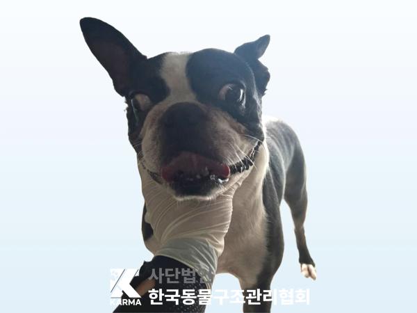 종료(반환) 보스턴…